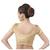 Velvet Gold Short Sleeves Stretchable Readymade Saree Blouse