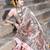 Elora pure tussar silk madhubani work saree for women (peach)
