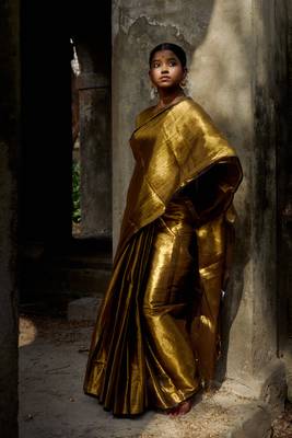 Gold Handloom Tissue Saree Without Blouse 4