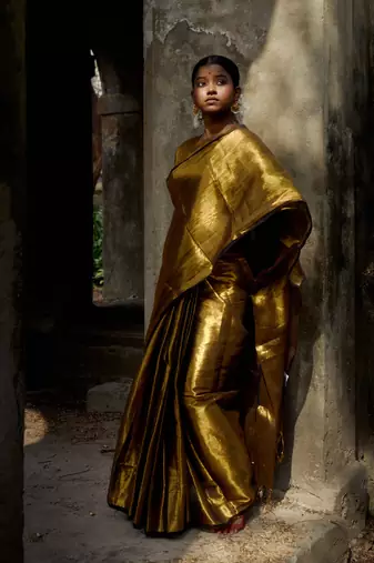 Gold Handloom Tissue Saree Without Blouse