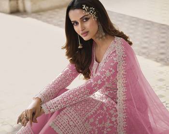 Light Pink Net Embroidered Straight Salwar Kameez 2
