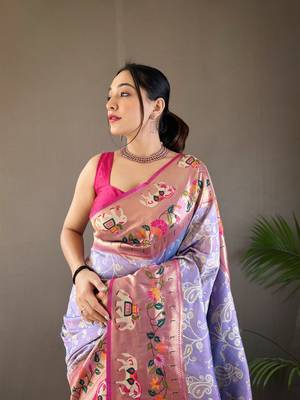 Paithani And Patola Fusion Meenakari Pallu And Border 3