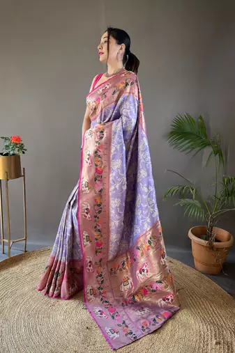 Paithani And Patola Fusion Meenakari Pallu And Border