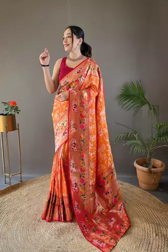 Paithani And Patola Fusion Meenakari Pallu And Border