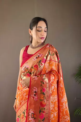 Paithani And Patola Fusion Meenakari Pallu And Border
