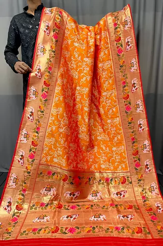 Paithani And Patola Fusion Meenakari Pallu And Border