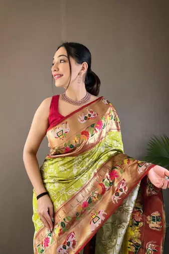 Paithani And Patola Fusion Meenakari Pallu And Border