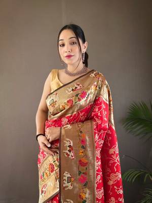 Paithani And Patola Fusion Meenakari Pallu And Border 5