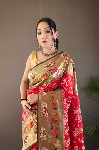 Paithani And Patola Fusion Meenakari Pallu And Border