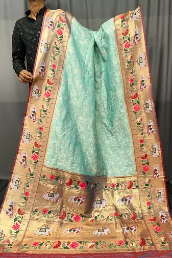 Paithani And Patola Fusion Meenakari Pallu And Border