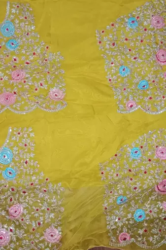 Yellow Organza with Embroidered Net Blouse Saree Set