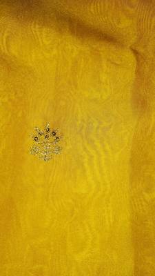 Yellow Organza with Embroidered Net Blouse Saree Set 10