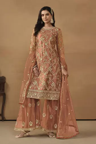 Light rust net embroidered salwar suit