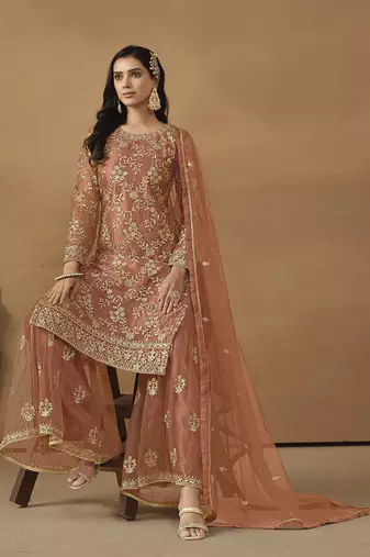 Light rust net embroidered salwar suit