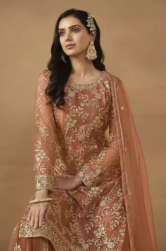 Light rust net embroidered salwar suit