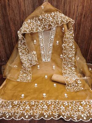 Women's beige embroidery organza dress material 2