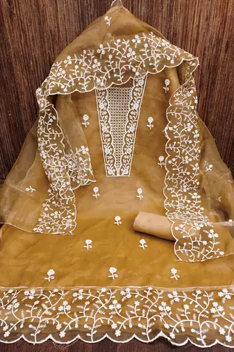 Women's beige embroidery organza dress material