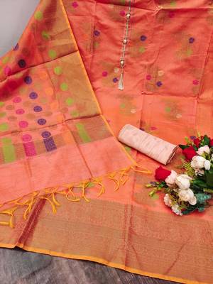 Peach Banarasi Banarasi Salwar 3