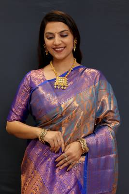 Light blue jaccaurd work kanjivaram silk saree with blouse 2