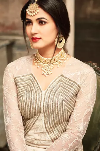 Cream Georgette And Net Semi Stitched Party Gown Anarkali