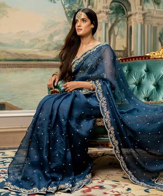 Deep Blue Embroidered Saree 2