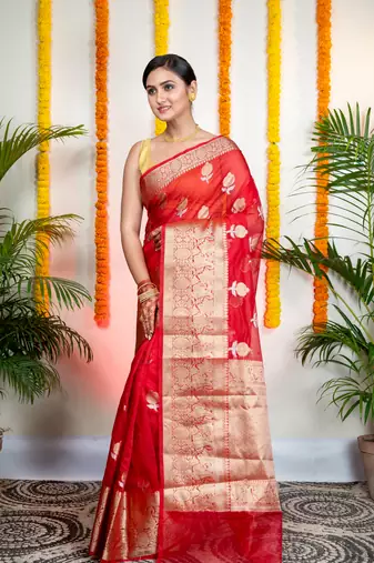 Red organza silk saree with zari border and floral motifs