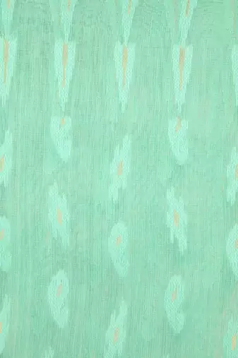 Green Hand Woven Pure Cotton Saree Without Blouse