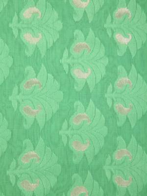 Green Hand Woven Pure Cotton Saree Without Blouse 4