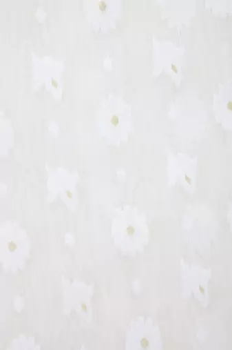White Hand Woven Pure Cotton Saree Without Blouse