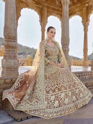 CHIKU COLOR DESIGNER FANCY WEDDING PARTY WEAR LONG ANARKALI SALWAR SUIT IN NET FABRIC SEMI STITCHED MATERIAL 4