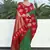 Green Red Soft Silk Contrast Zari Woven Saree