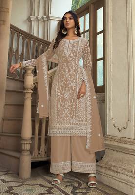 Chikoo Soft Net Embroidered Salwar Kameez 1