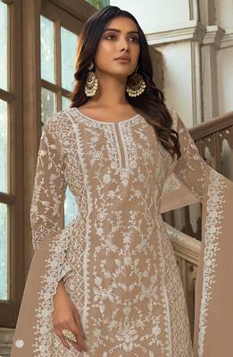 Chikoo Soft Net Embroidered Salwar Kameez 2