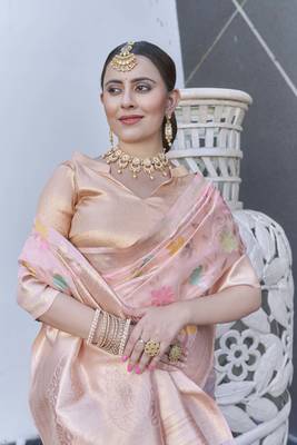 Pink Organza Jaal Meenakari Zari Woven Saree 2