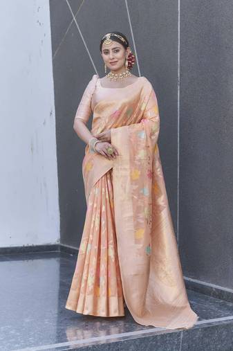 Peach Organza Jaal Meenakari Zari Woven Saree