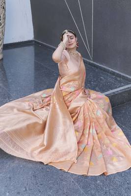 Peach Organza Jaal Meenakari Zari Woven Saree 2