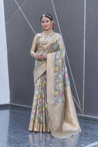 Grey Organza Jaal Meenakari Zari Woven Saree