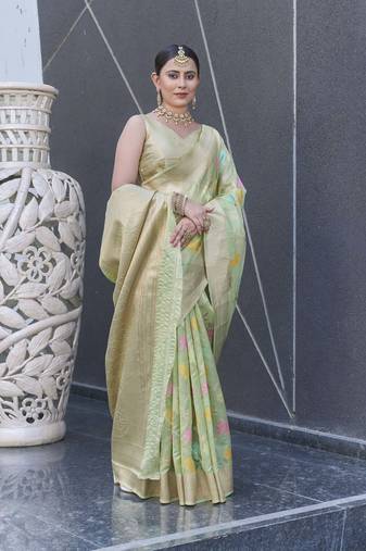 Green Organza Jaal Meenakari Zari Woven Saree