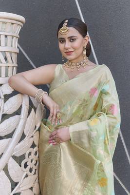 Green Organza Jaal Meenakari Zari Woven Saree 2