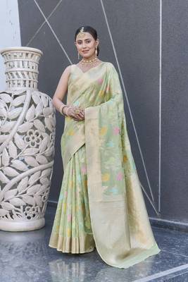 Green Organza Jaal Meenakari Zari Woven Saree 3