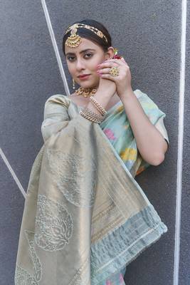 Sky Blue Organza Jaal Meenakari Zari Woven Saree 2