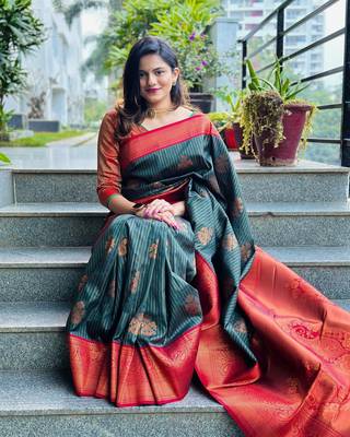 Multy Color Woven silk Saree With Blouse 3