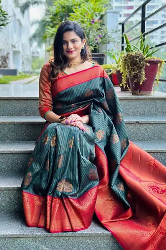 Multy Color Woven silk Saree With Blouse