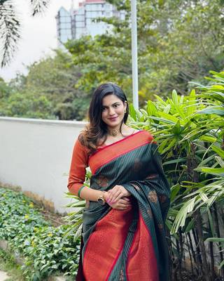 Multy Color Woven silk Saree With Blouse 4