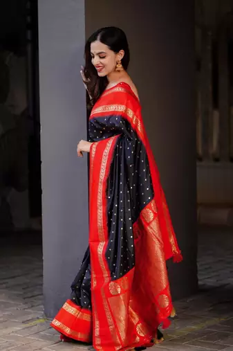 Black Red Woven silk Saree With Blouse