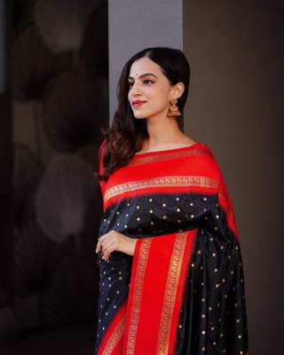 Black Red Woven silk Saree With Blouse 4