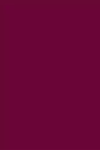 Wine Heavy Coding Embroidered Zarkan Diamond Border Georgette Saree With Blouse Piece