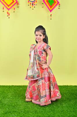 Multicolor Lehenga Choli 1