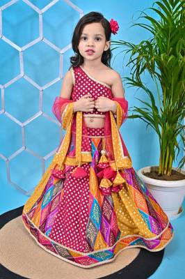 Multicolor Lehenga Pink Choli 1