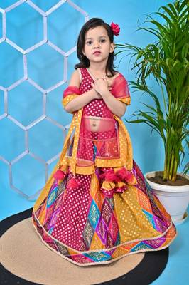 Multicolor Lehenga Pink Choli 2